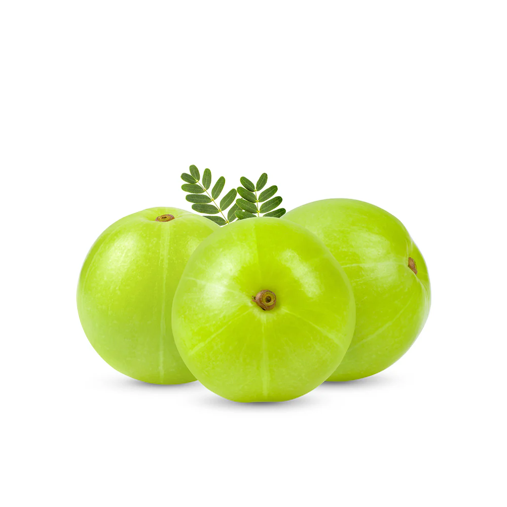 Amla (Indian Gooseberry)