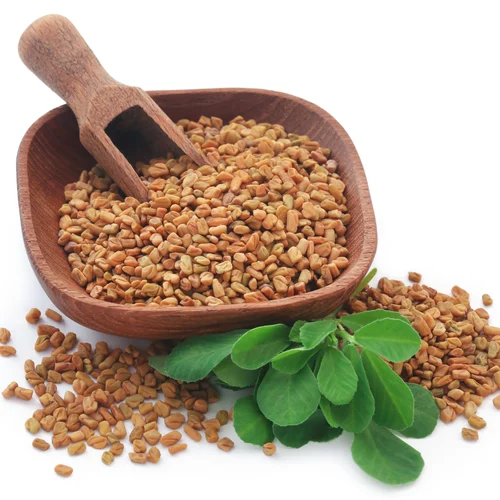 Fenugreek Seeds